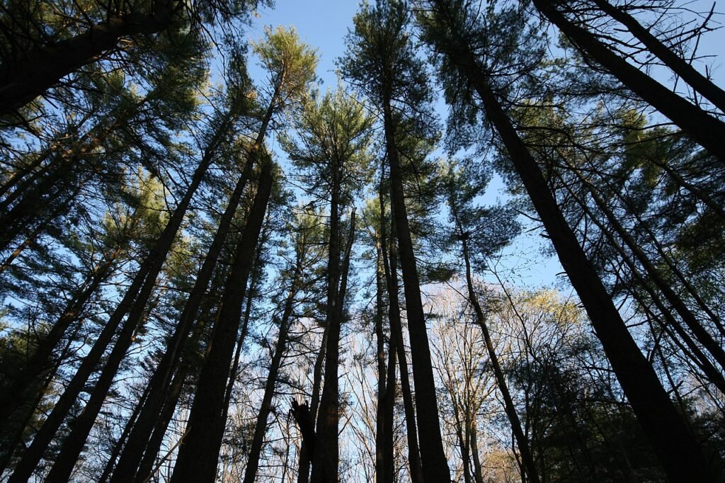 Goddard Memorial State Park